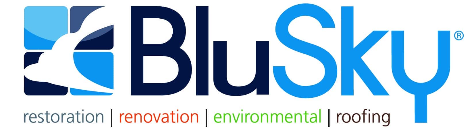 BluSky Logo